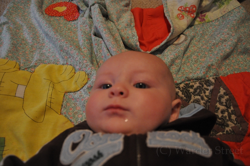 William's Nineteenth Week 14.jpg